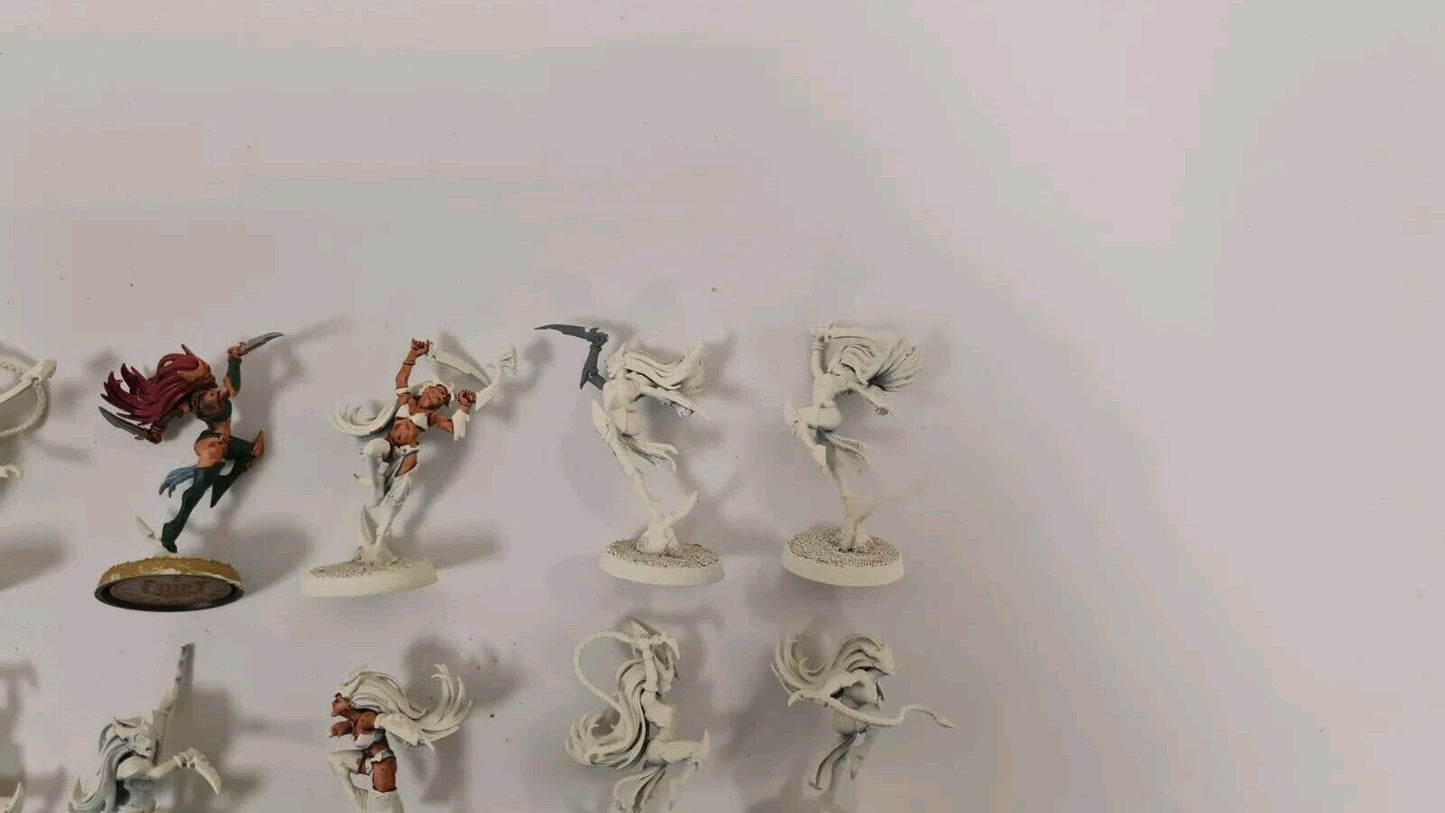 Warhammer Aos Daughters Of Khaine Witch Elves X 10