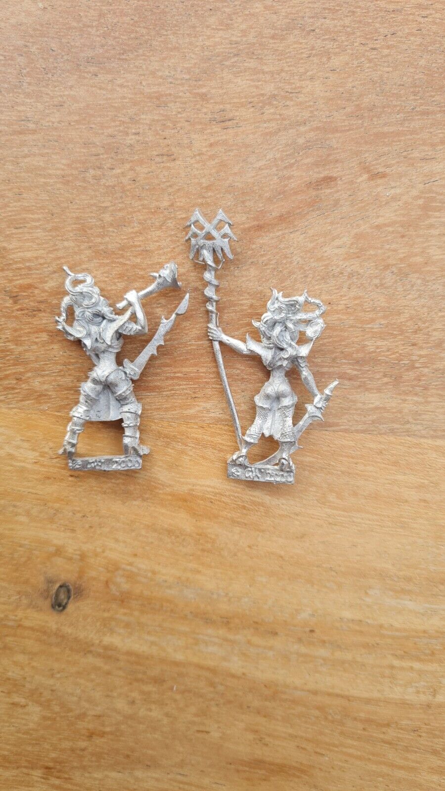 Warhammer Dark Elf Witch Elf Musician And Standard Metal Oop