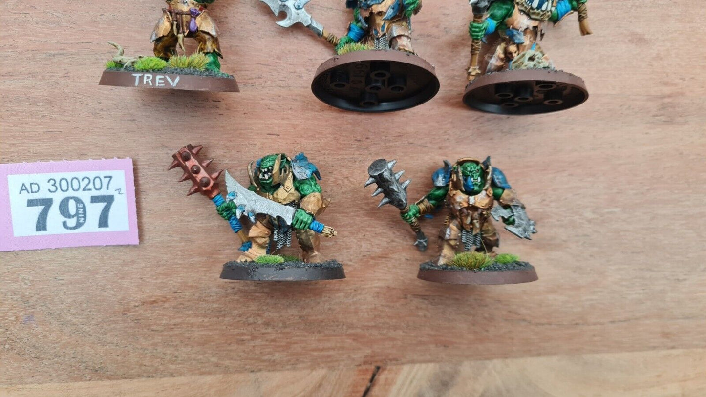 Warhammer Aos Orruk Warclans Warchanter + 4 Brutes Nicely Painted