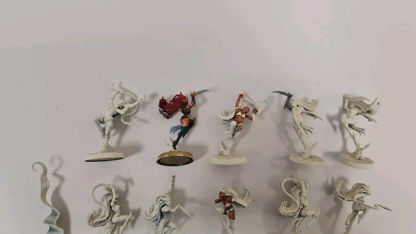 Warhammer Aos Daughters Of Khaine Witch Elves X 10