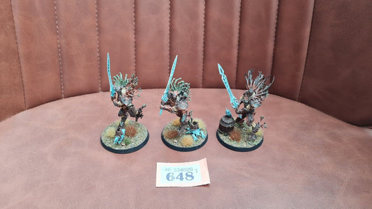 Warhammer Aos Sylvaneth Kurnoth Hunters X 3 Nicely Painted