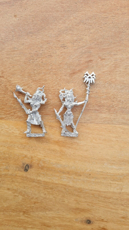 Warhammer Dark Elf Witch Elf Musician And Standard Metal Oop