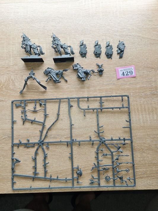 Warhammer High Elf Mounts +1 Rider Oop