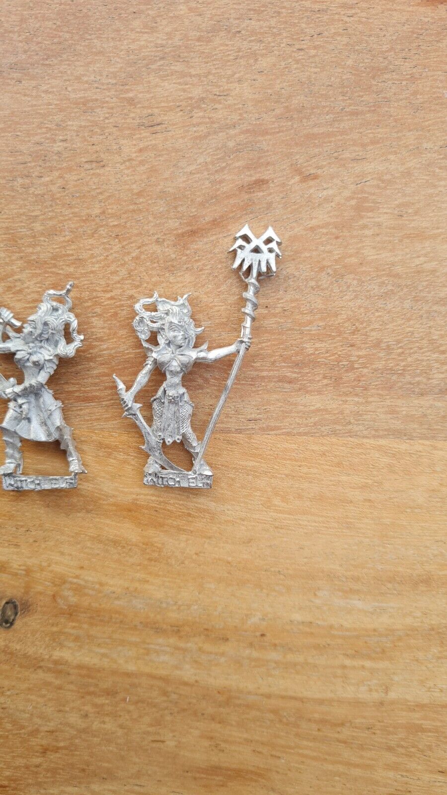 Warhammer Dark Elf Witch Elf Musician And Standard Metal Oop