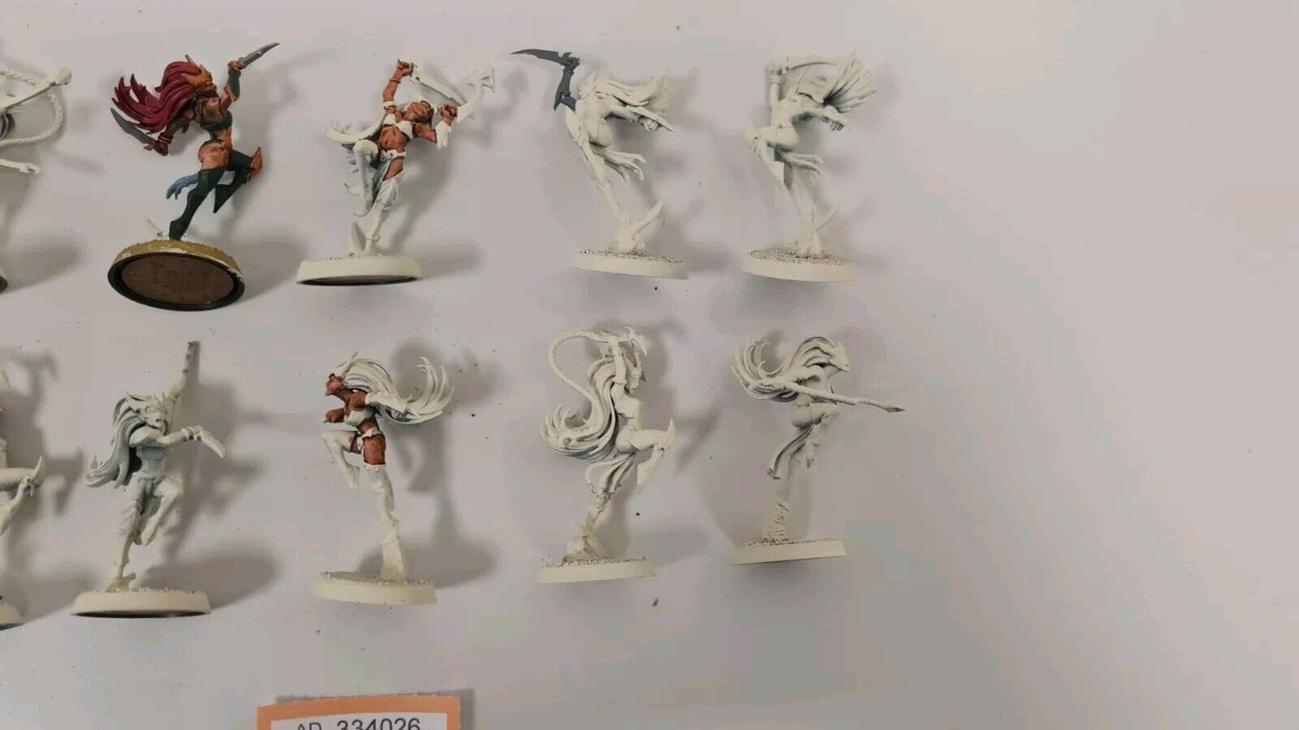 Warhammer Aos Daughters Of Khaine Witch Elves X 10