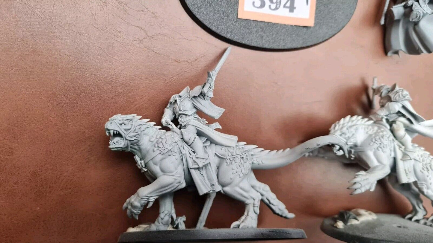 Warhammer Aos Stormcast Eternal Vandus Hammerhand + Evocators On Dracolines