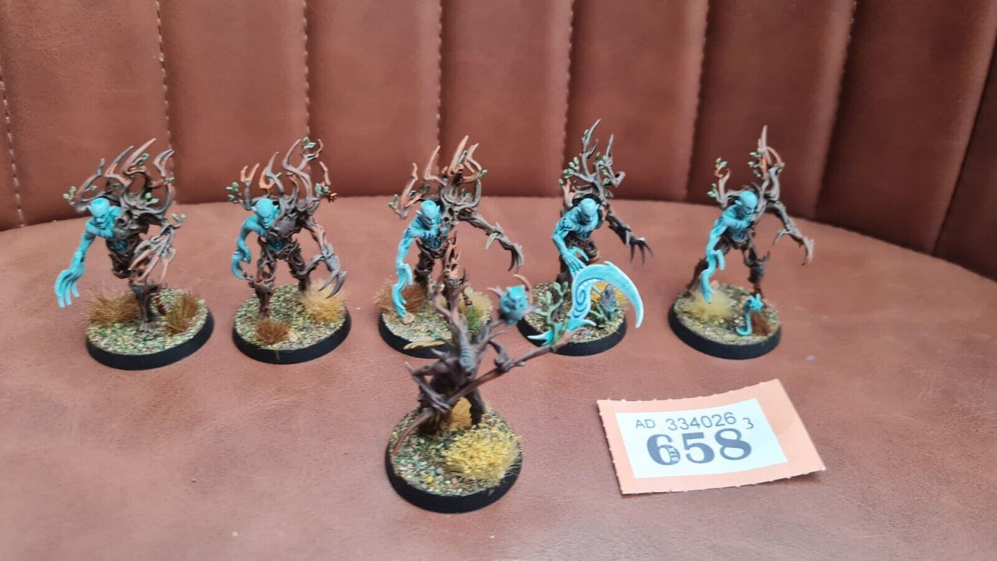 Warhammer Aos Sylvaneth Branchwych + Spite Revenants Nicely Painted