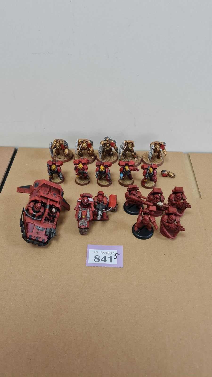 Warhammer 40k Space Marine Blood Angel Army